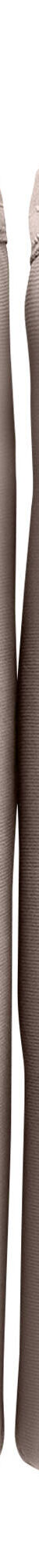 Culotte microfibre forme maxi   – Lot de 2 (taupe) Culotte microfibre forme maxi   – Lot de 2 (taupe)